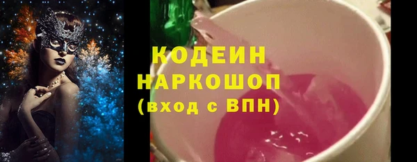 ГАЛЛЮЦИНОГЕННЫЕ ГРИБЫ Вяземский